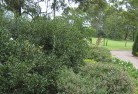 Toora VICresidential-landscaping-35.jpg; ?>