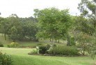 Toora VICresidential-landscaping-40.jpg; ?>